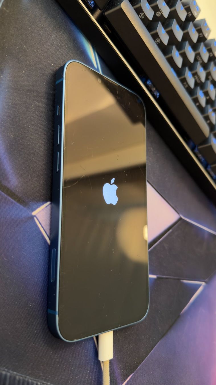 Apple Telefoni cellulari / Smartphones: Apple iPhone 13 Blue – 512 GB – Usato da Kloten venduto da mey_sxr9 3