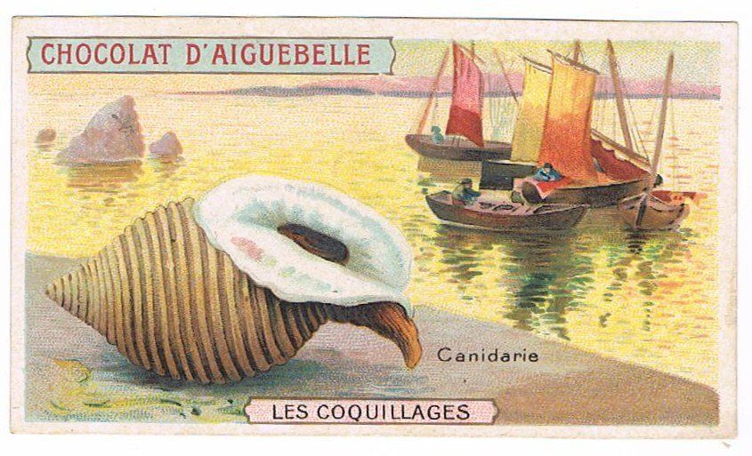 Grafica & Litografie: Cartes publicitaires - Chromo – Usato da Genève venduto da edelweiss1900 1