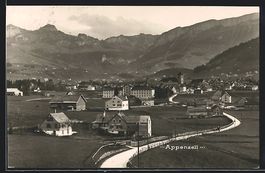 Appenzell, Totalansicht aus der Vogelsch