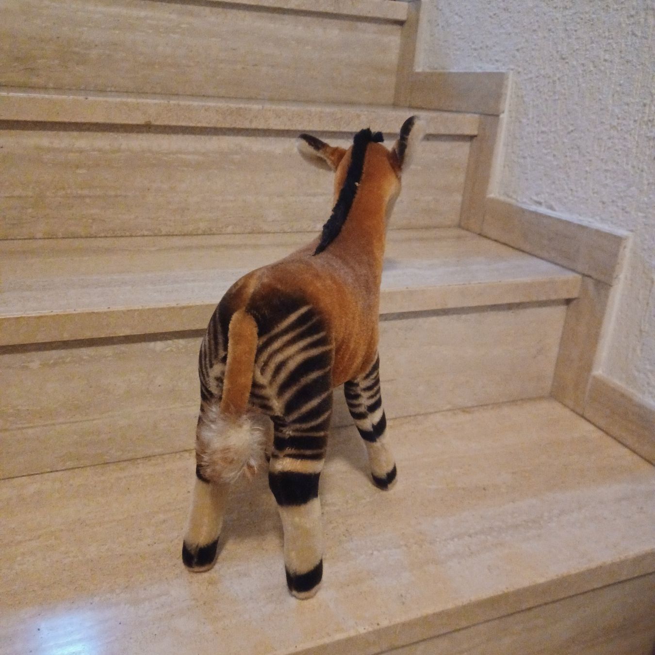 Steiff Giocattoli: seltenes grosses Steiff Okapi43 cm um 1960 – Usato da Abtwil SG venduto da luupsy 3