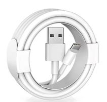 iPhone iPad 20W USB-A zu USB-C Ladekabel + Daten 2m