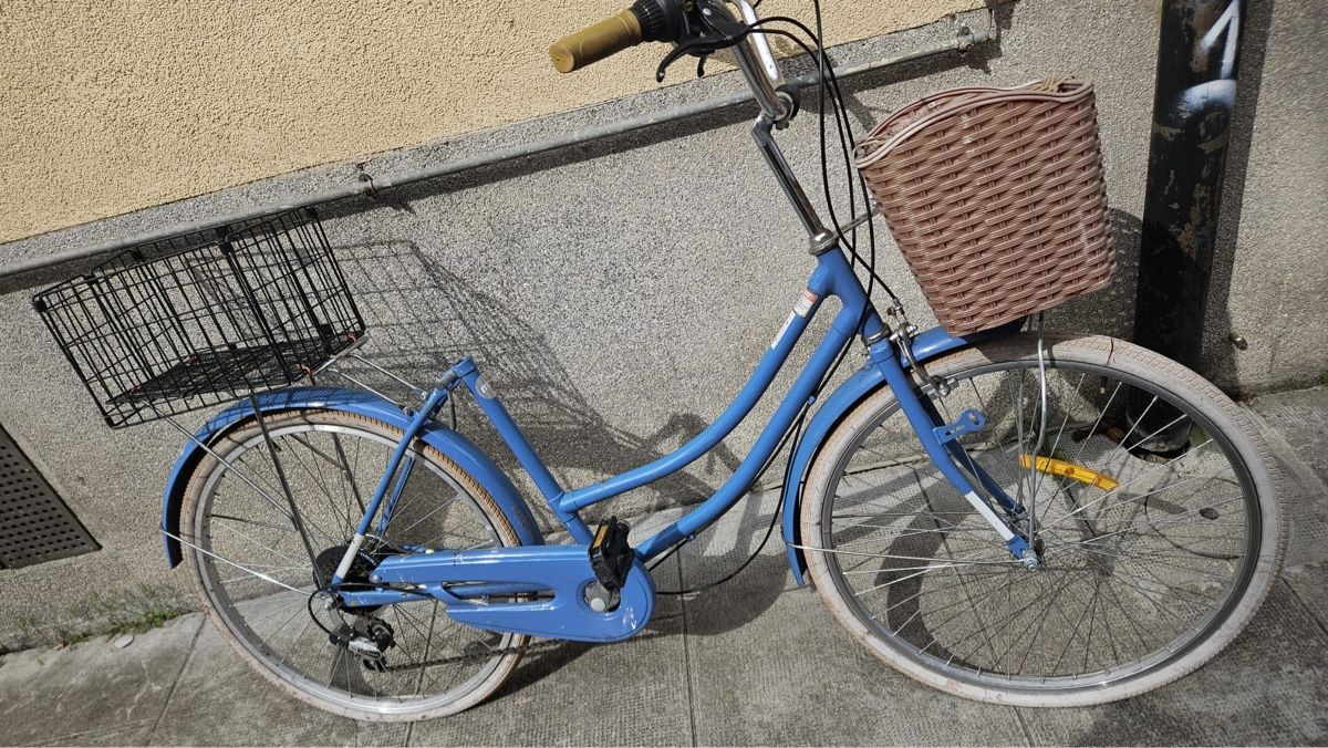 Totem Biciclette: Ebike Totem 25km/h – Usato da Genève venduto da Goupiole 2
