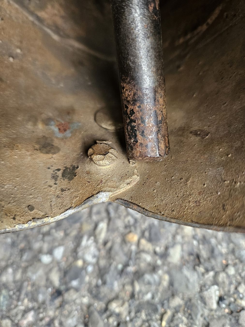 Campanacci mucche: Schelle mattle? – Usato da Schwellbrunn venduto da Rosaroterpanter 7