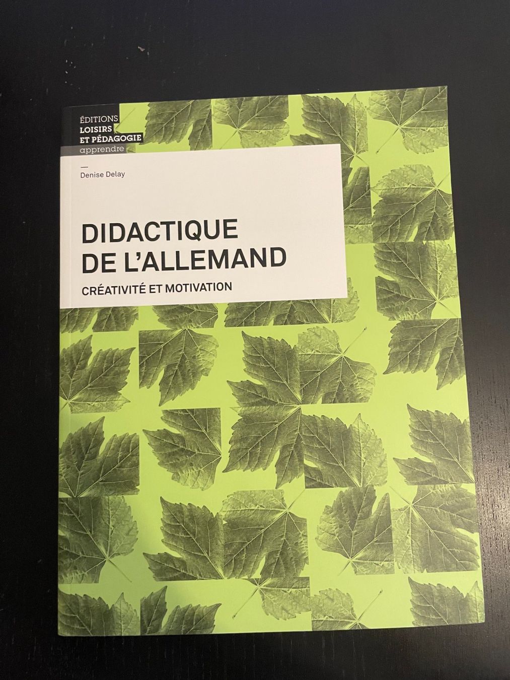 Libri: Manuel "Didactique de l'allemand" – Usato da Villeneuve VD venduto da vin_7zm6