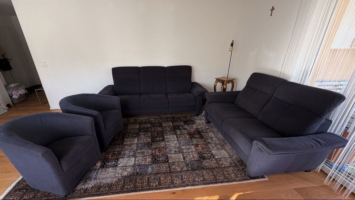 Divani: Gemütliche 3er- & 2er-Sofas + 2 Sessel in Anthrazit   – Usato da Zell ZH venduto da uer_2wv9