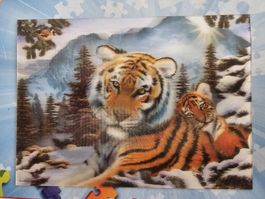Puzzle motif tigres effet 3D  555 pièces