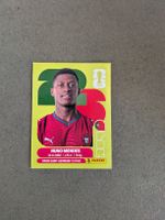 Panini Bild POR 7