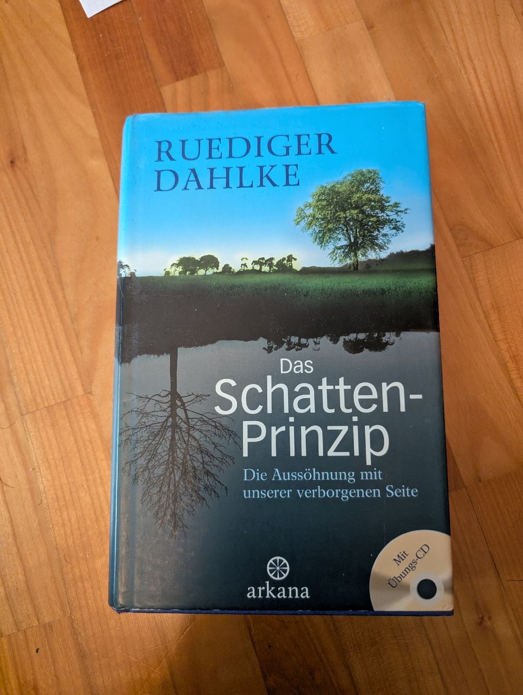 Libri: Das Buch der Widerstände und das Schatten Prinzip – Usato da Benglen venduto da kintaro-oe 3