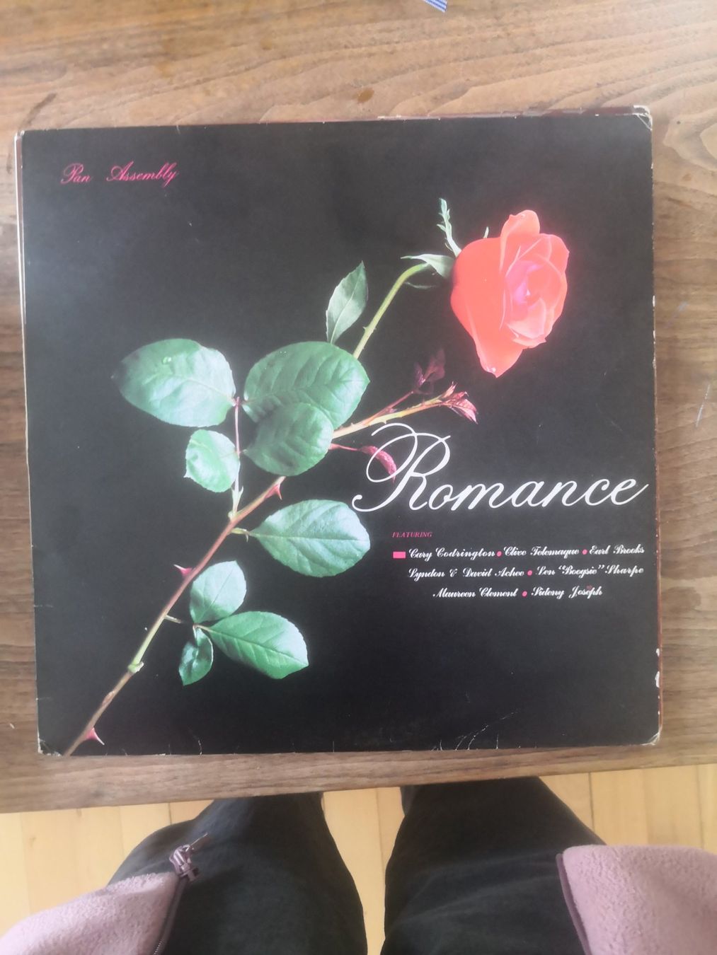 Dischi in vinile: Pan Assembly - Romance Vinyl Schallplatte – Usato da Basel venduto da zimtstern16
