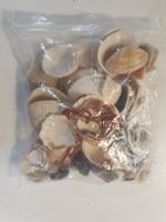 ein Sack Muscheln
