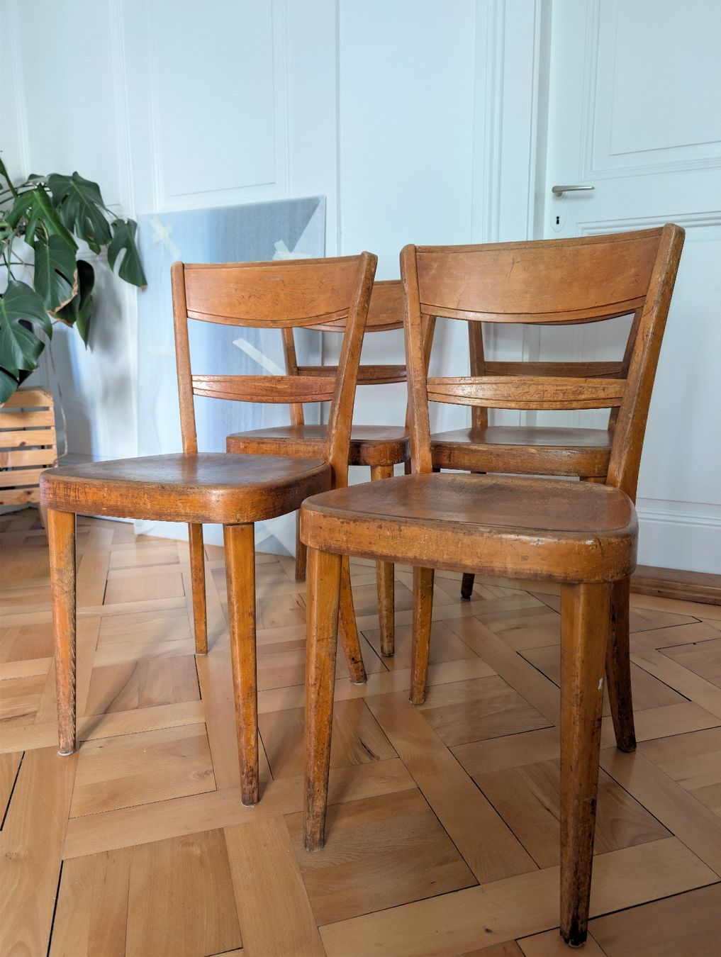 Sedie: Holzstuhl 4 Stück – Usato da Bern venduto da sko_mvy5 1