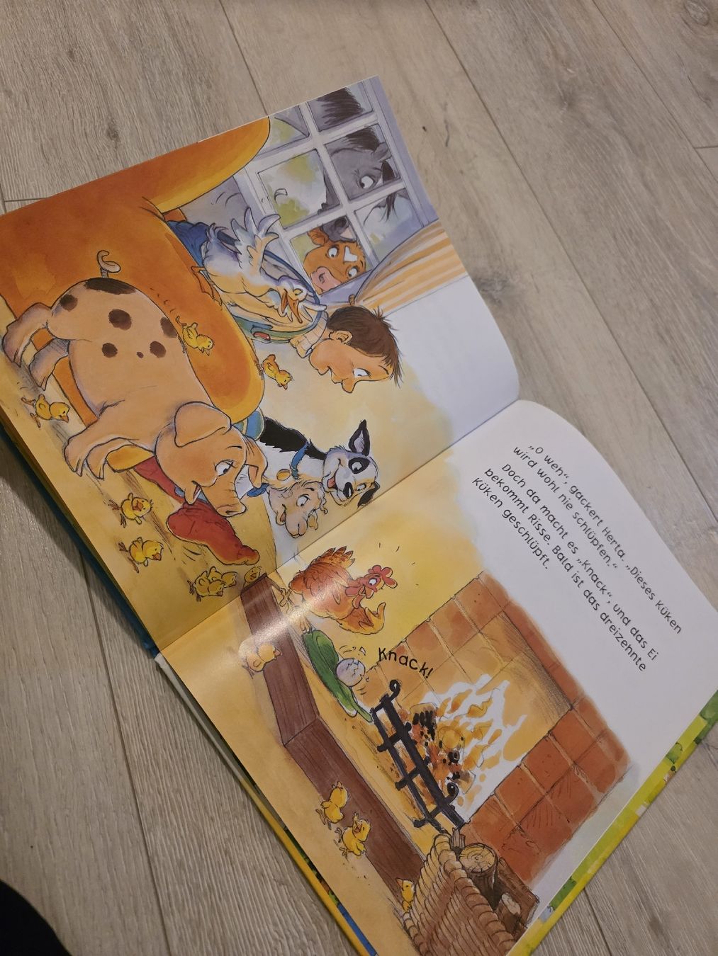 Libri: Kinderbuch "Das dreizehnte Ei"  – Usato da Wigoltingen venduto da Zuckerfee84 3
