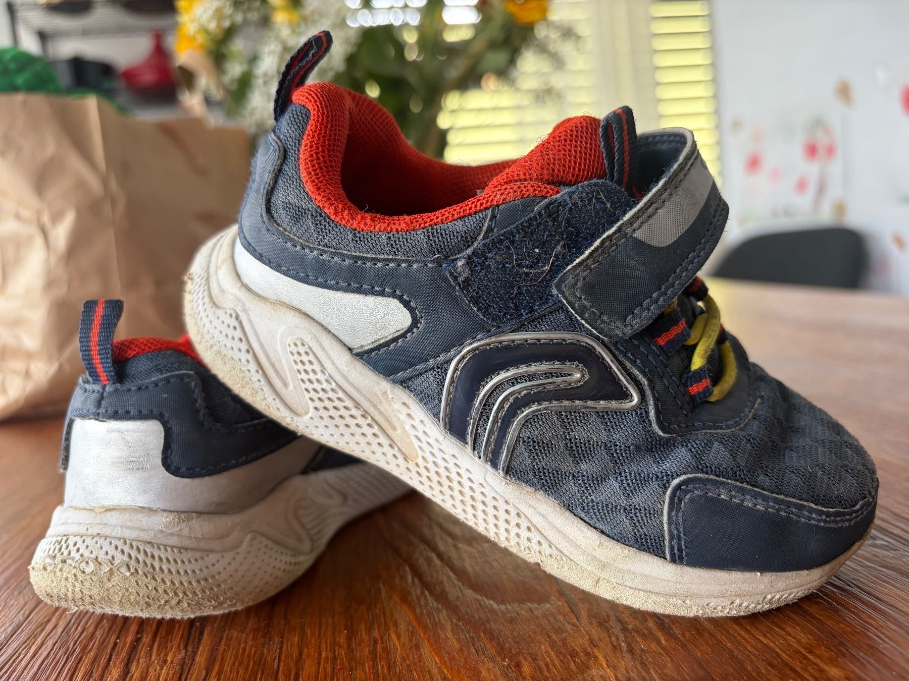 Geox Schuhe für Jungen: Geox 26 – Gebraucht aus Schlieren von gor_jgx7 2