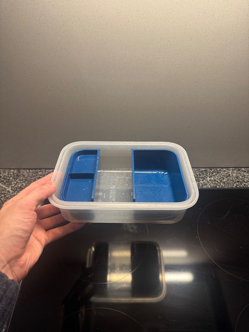 Ikea Contenitori & Simili: IKEA 365+ Lunchbox-Einsatz – Usato da Dübendorf venduto da cendre 2