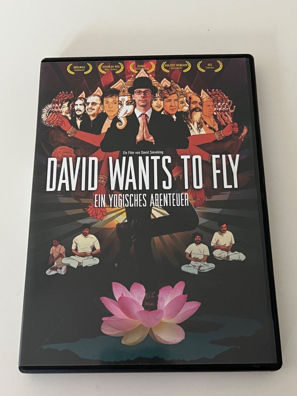 Alle DVDs: David Wants to Fly - Yogisches Abenteuer – Gebraucht aus Altstätten SG von sheamus