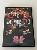 David Wants to Fly - Yogisches Abenteuer