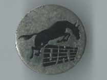 Pferd Reitsport, Pin
