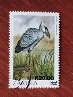 Sambia - Vogel