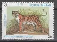 NEPAL : TIGER  (21