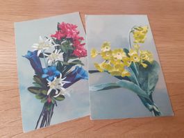 PHOTOCHROM - EDELWEISS ALPENROSE ENZIAN SCHLUESSELBLUME