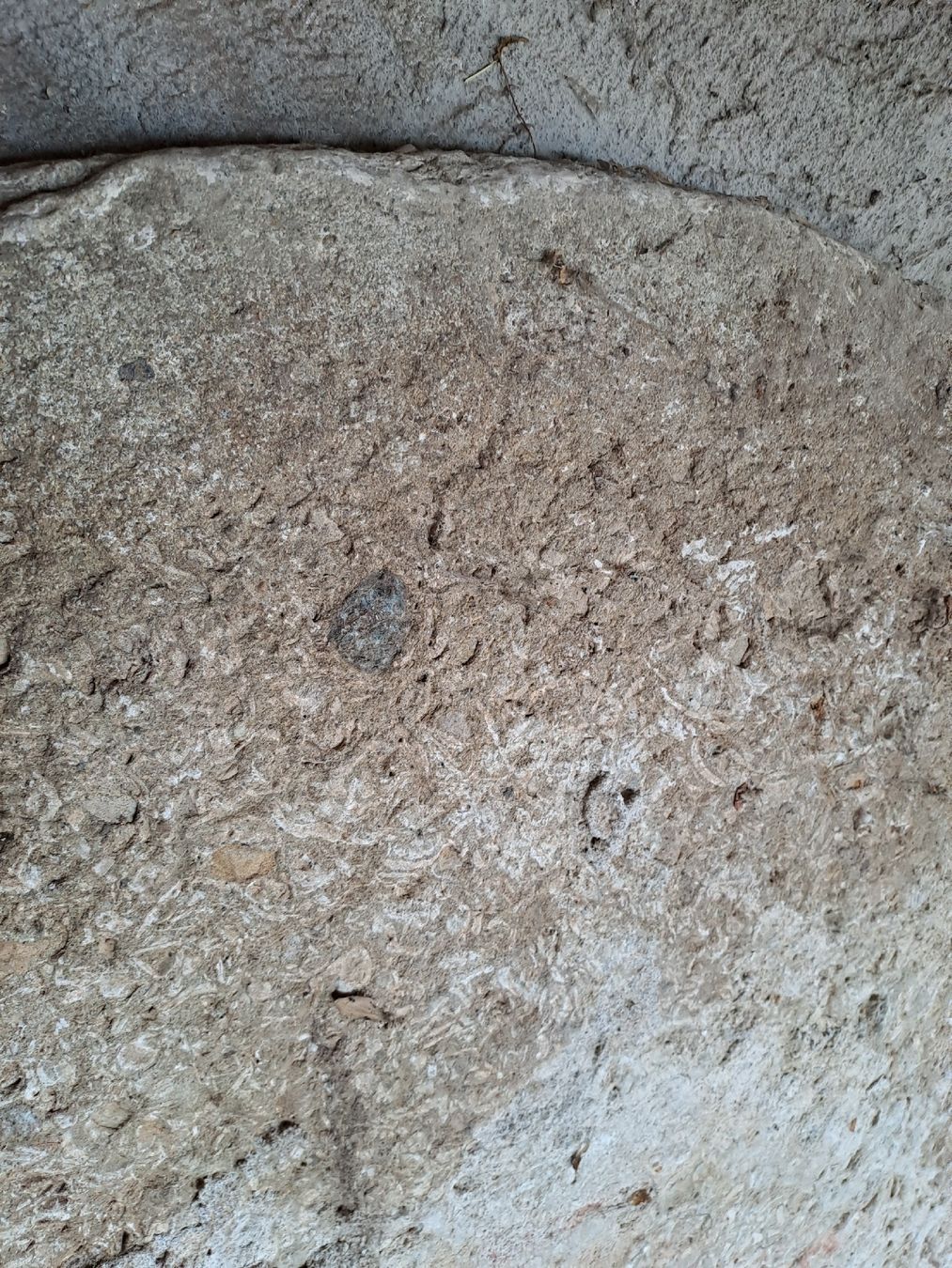 Piatti di portata: Alte Betontischplatte – Usato da Belp venduto da jkunzi 2