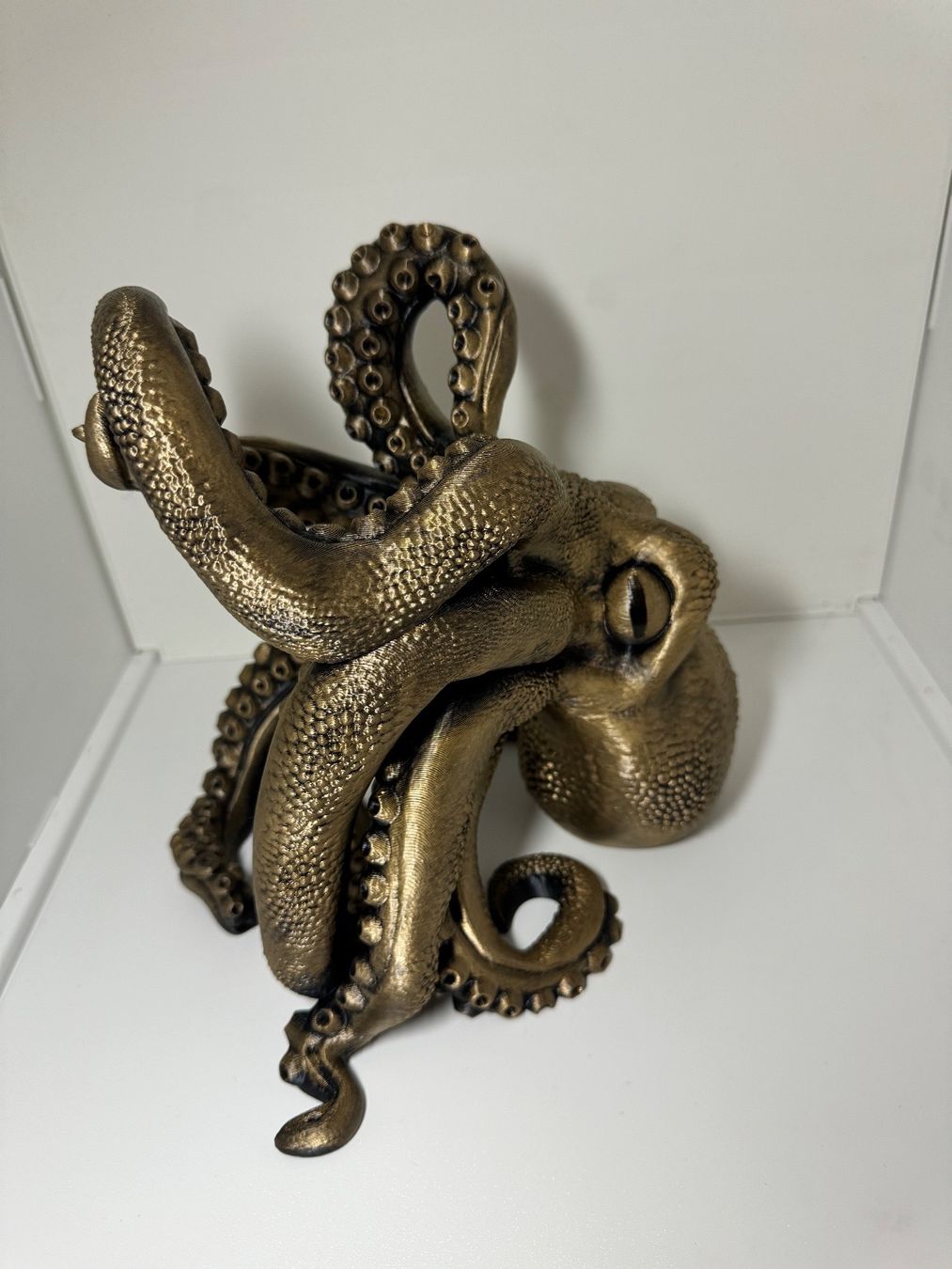 Portabottiglie: Pieuvre Octopus Oktopus support pour bouteille – Nuovo (secondo la descrizione) da Vicques venduto da PAMB3D