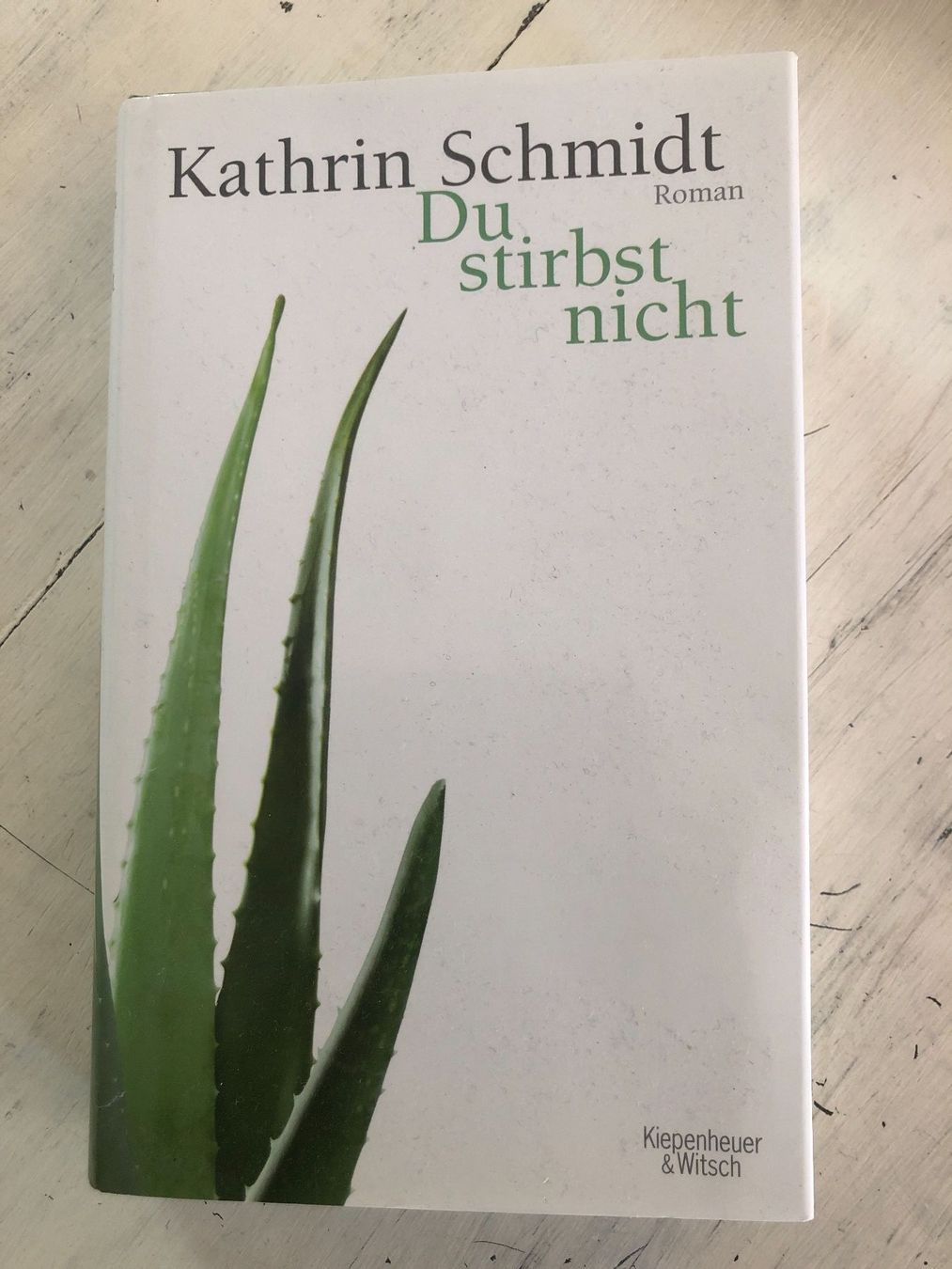 Libri: Kathrin Schmidt: Du stirbst nicht – Usato da Schliern b. Köniz venduto da Corinu59