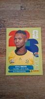 Panini FIFA WM 2026 RSA 19
