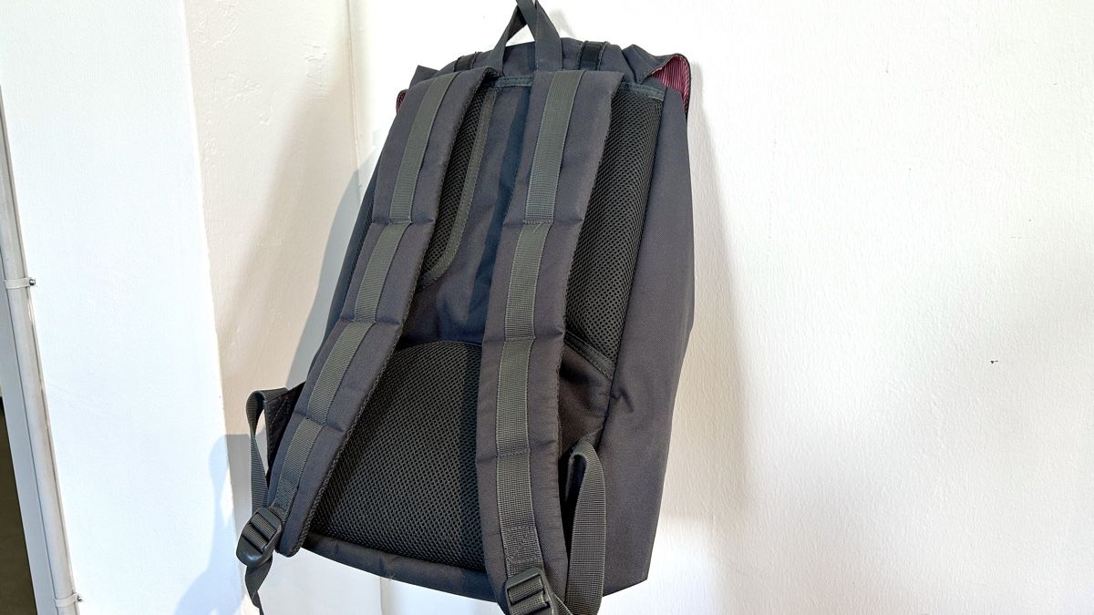 Herschel Zaini: Herschel Rucksack – Usato da Zürich venduto da milanrohrer 3