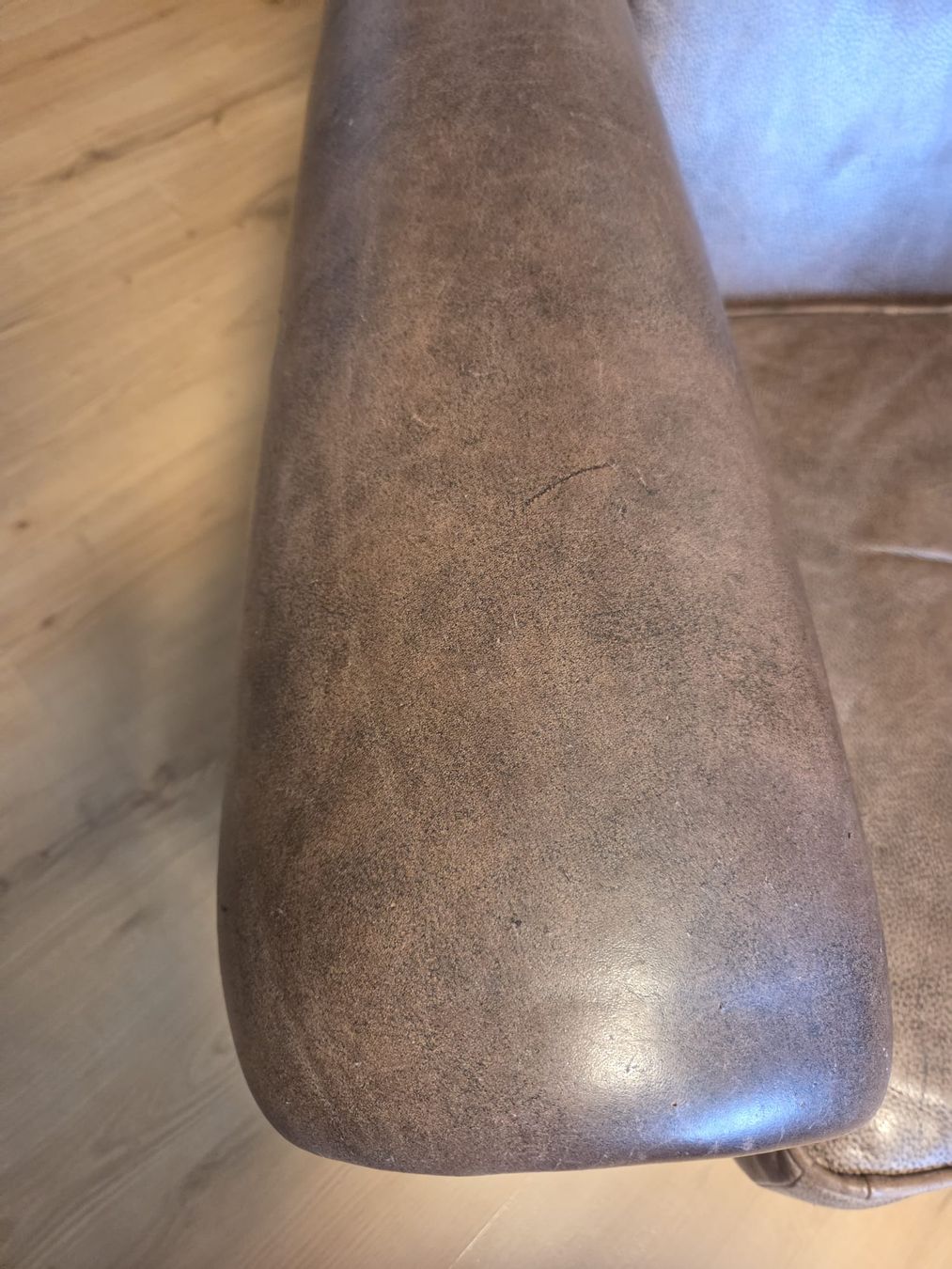 Interio Poltrone: Ledersessel Interio – Usato da Oberentfelden venduto da litschgi8 4
