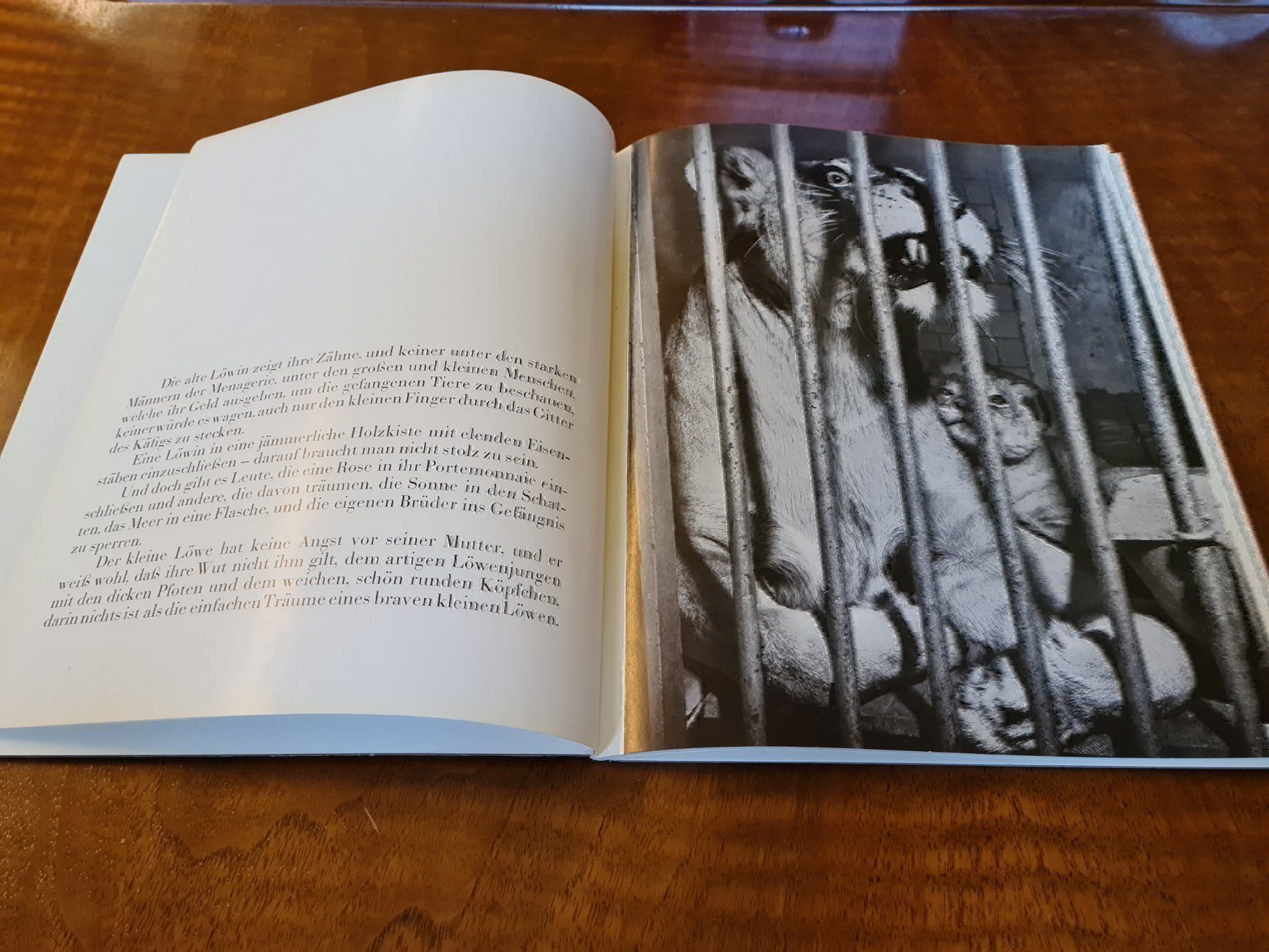 Libri: Der kleine Löwe – Usato da Erstfeld venduto da Uhu1980 1