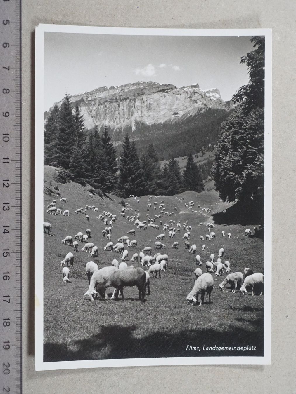 Ansichtskarten: Flims, Schafe – Gebraucht aus Lenzburg von fh1
