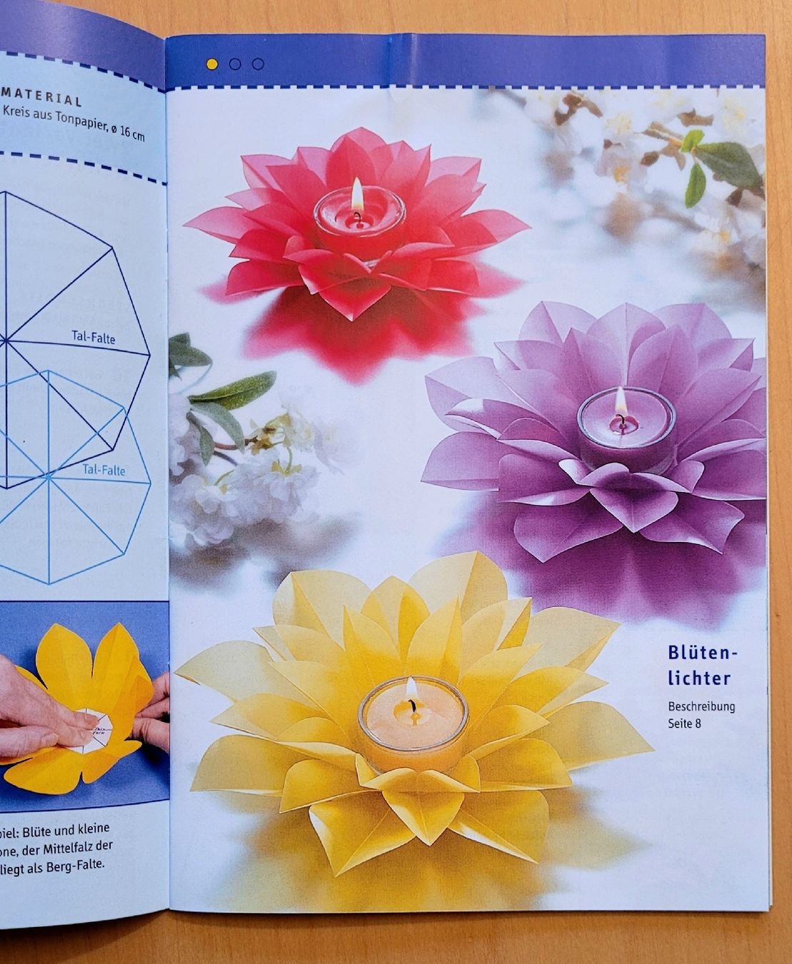 Bücher: Papierfalten Windlichter Fleurogami – Gebraucht aus Madiswil von Laubfleck 6