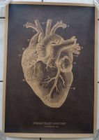 Human Heart Poster A3