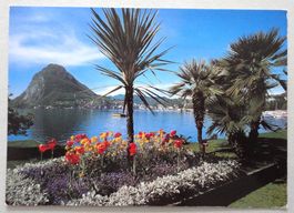 Lugano - Cassarate, Mte S. Salvatore