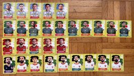Panini Sticker WM 2026 Gruppe J