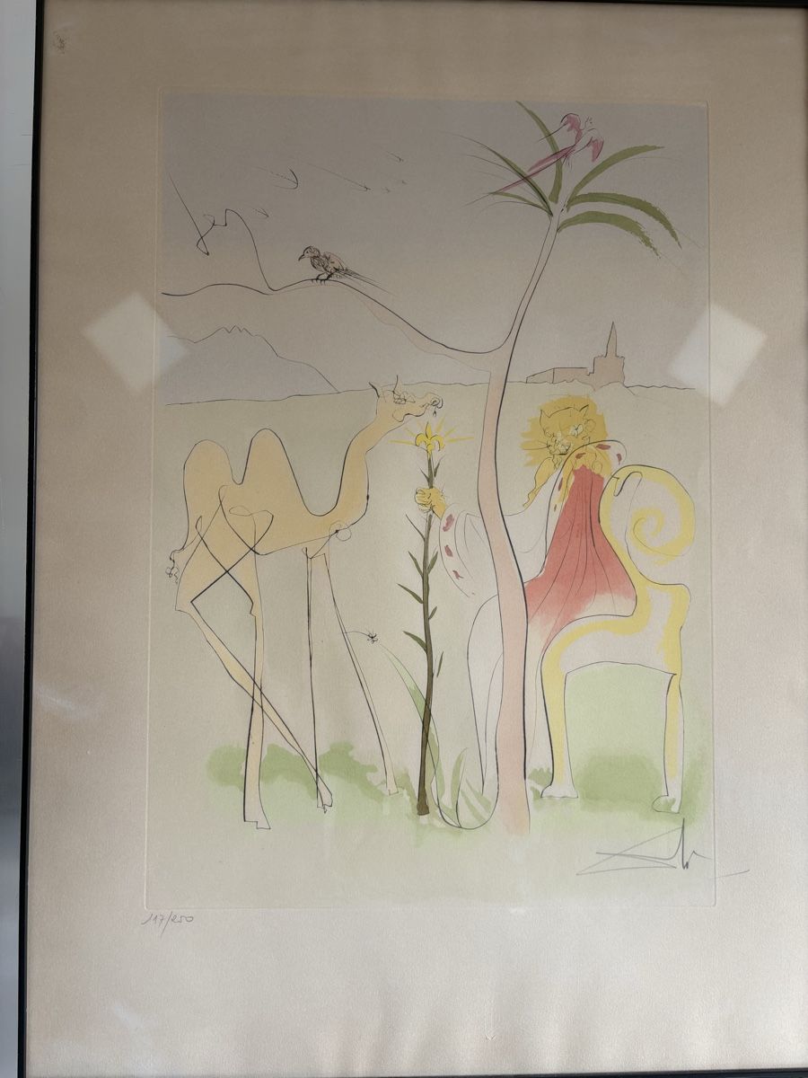 Stiche: Gravure Salvador Dalí Original – Gebraucht aus petit lancy von FerreiraLuis 1