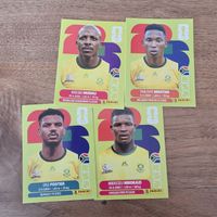Panini Sticker RSA17,12,6,9 