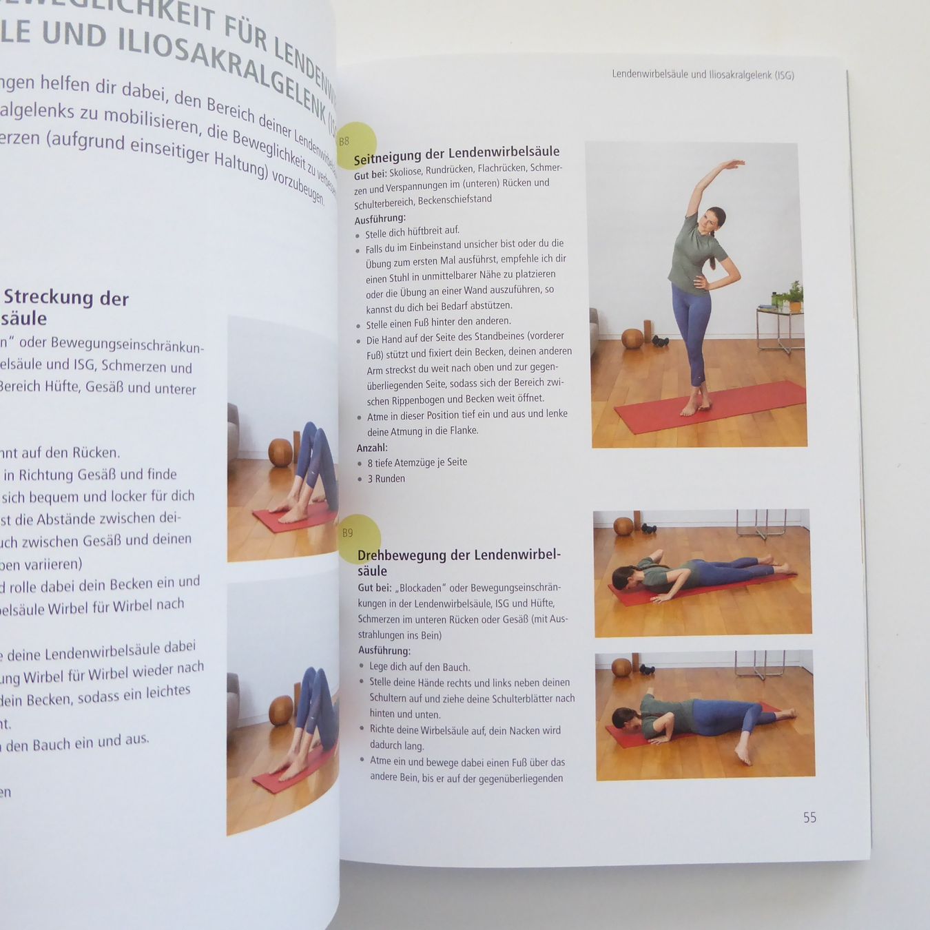 Libri: Physio @ Home - 30 Tage Übungsplan – Usato da Basel venduto da Kunterbunt12 7
