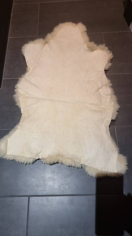 Coperte: Schaffell echt – Usato da Neuenkirch venduto da tip_wp7s 1