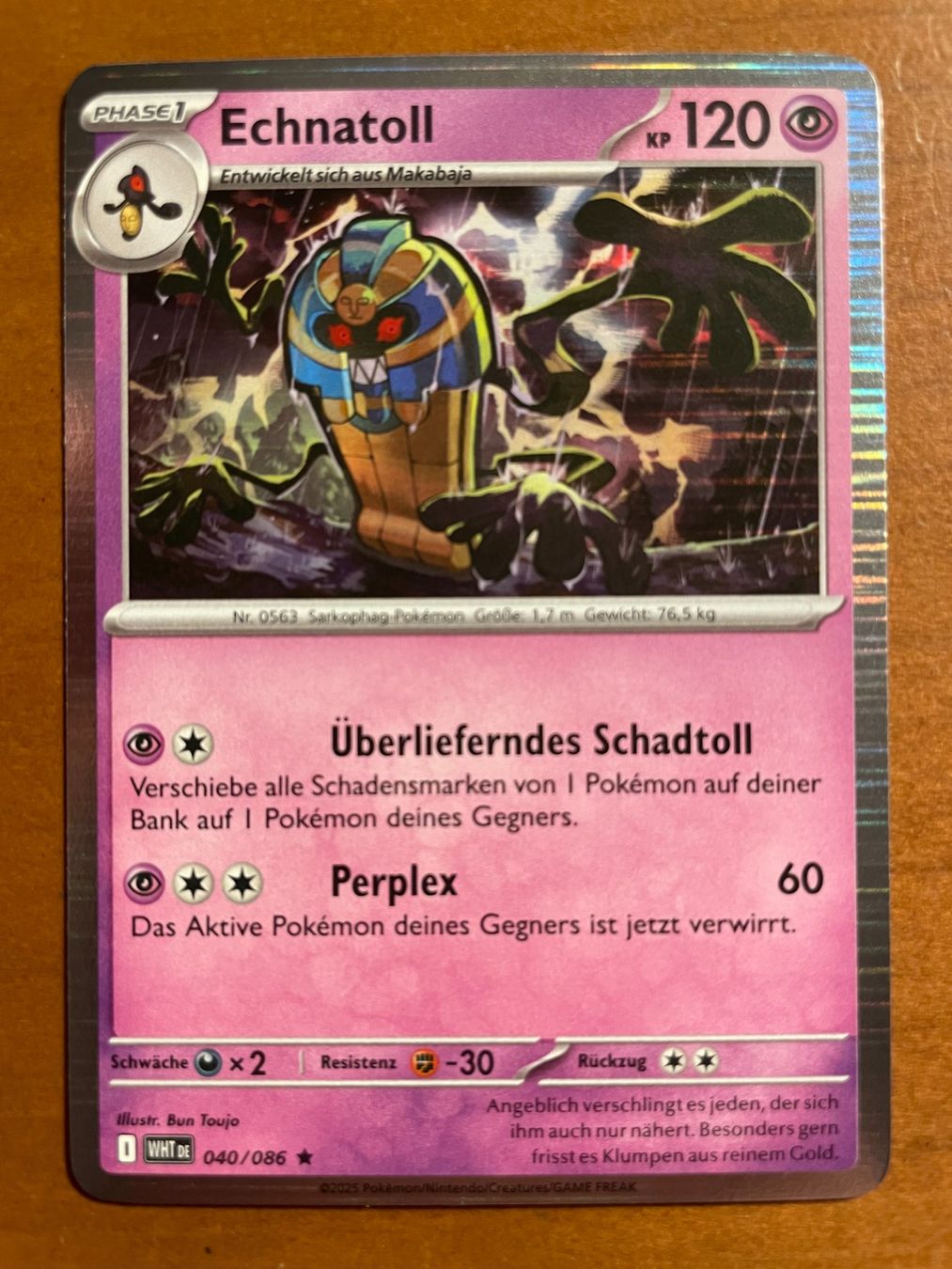 Pokémon Carte collezionabili: Pokemon Echnatoll Holo (Versand gratis) – Nuovo (secondo la descrizione) da Chur venduto da Angerson