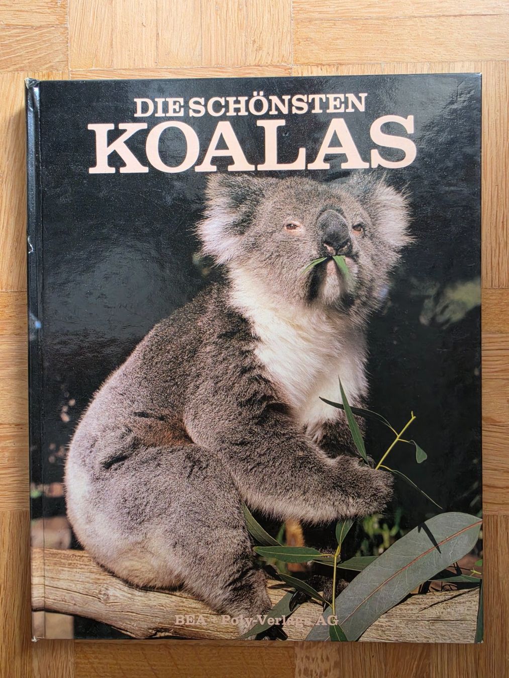 Libri: Koalas – Usato da Stäfa venduto da flamingo_17