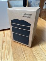 Rückenretter Rückendehner Liebscher Bracht Original