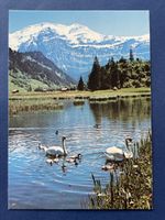 Alte Ansichtskarte Lenk See mit Wildstrubel, Berner Oberland