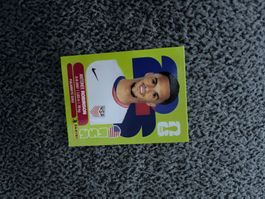 Panini Sticker USA 7,  WM 2026