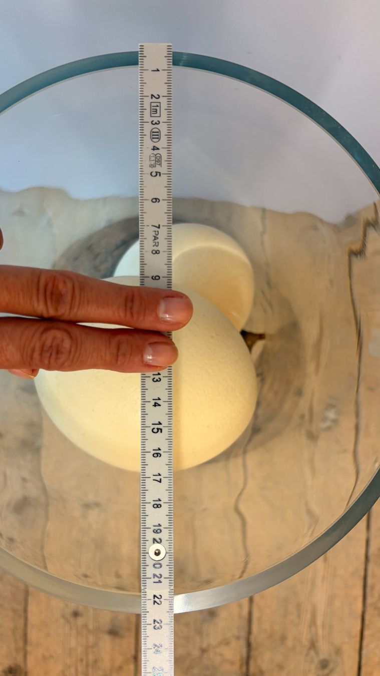 Vase & Récipients: Dekorative Bodenglasvase – D'occasion à Zürich par natbae 2
