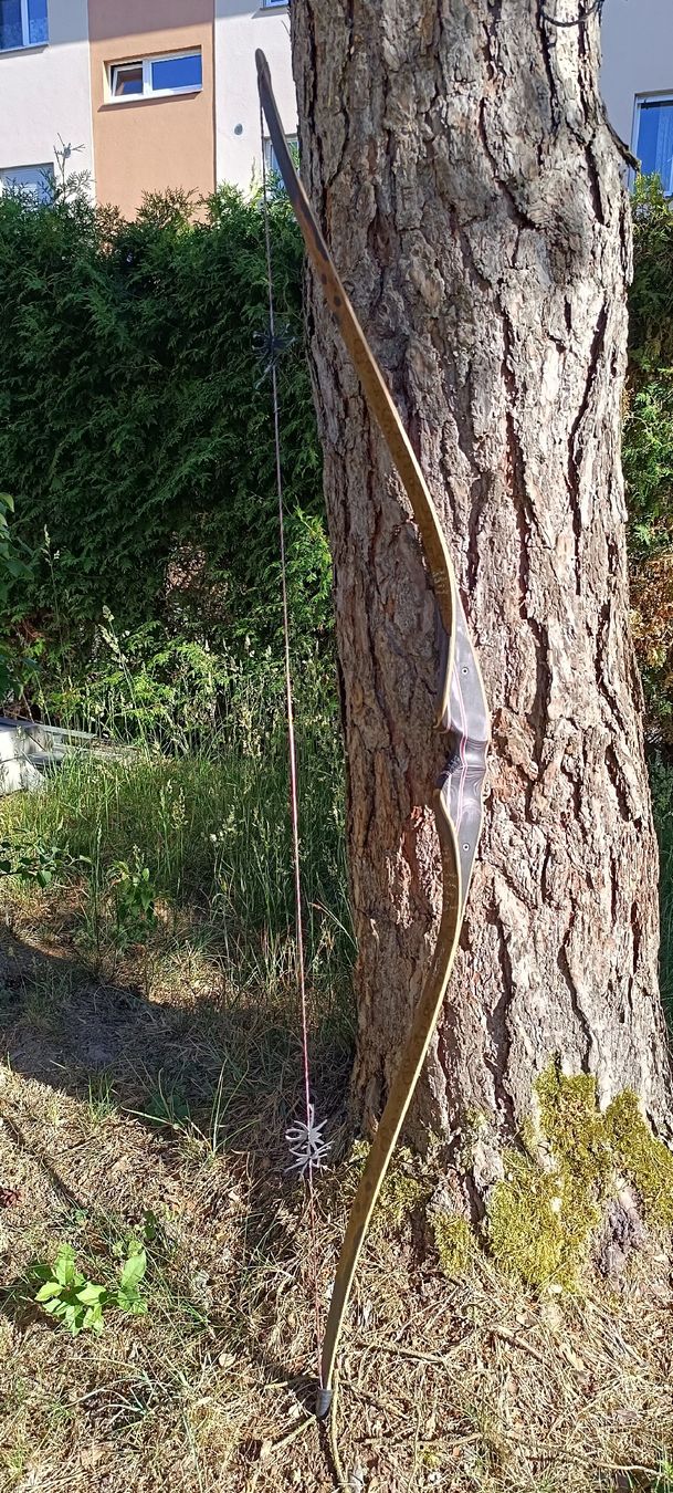Tiro con l'arco: Bogen Hybrid Custom – Usato da Rothrist venduto da Pfadfinder03 4