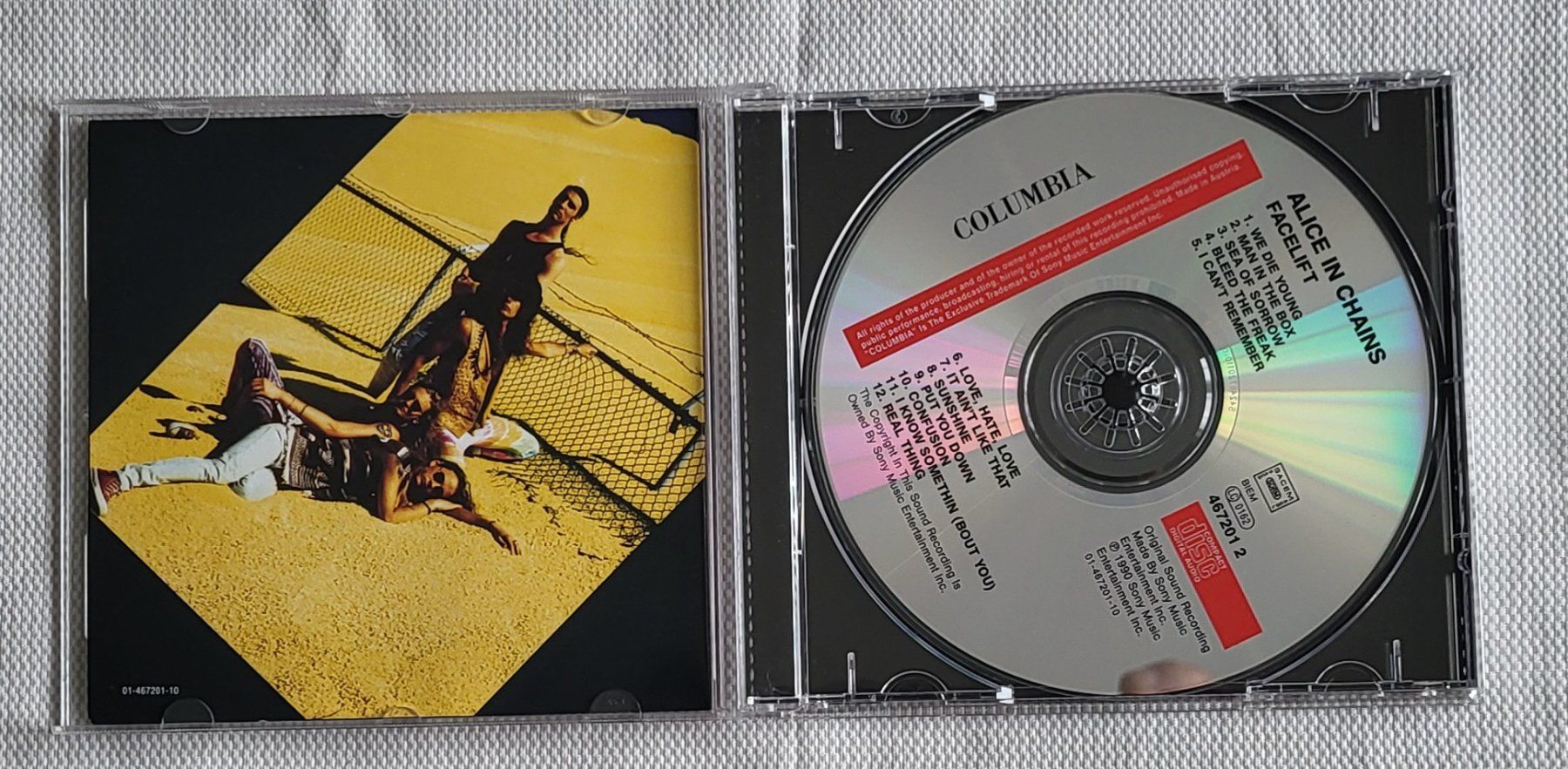 CDs: Alice in Chains - Facelift – Gebraucht aus Villars-sur-glane von Epsilonhike 2