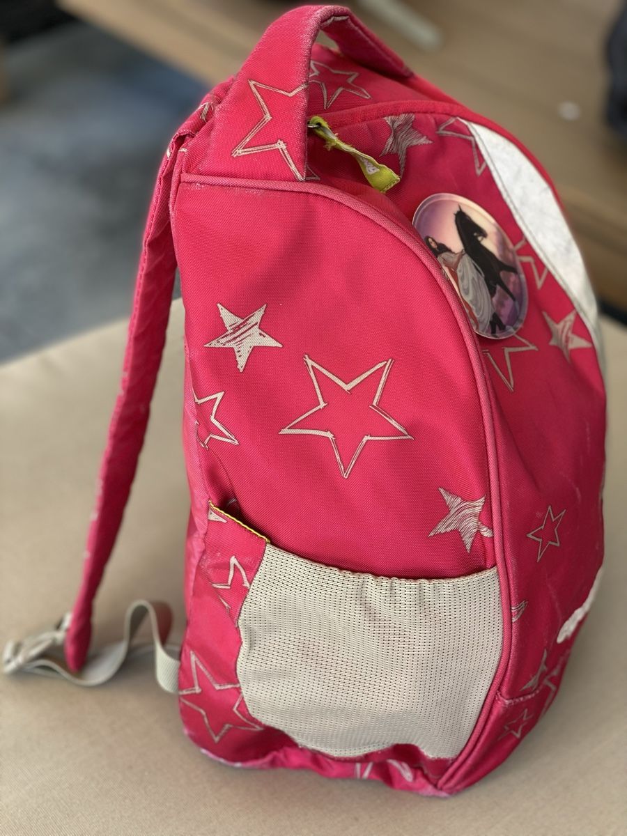 Ergobag Borse & Zaini: Schulthek Ergobag Set – Usato da Baar venduto da nokis 6
