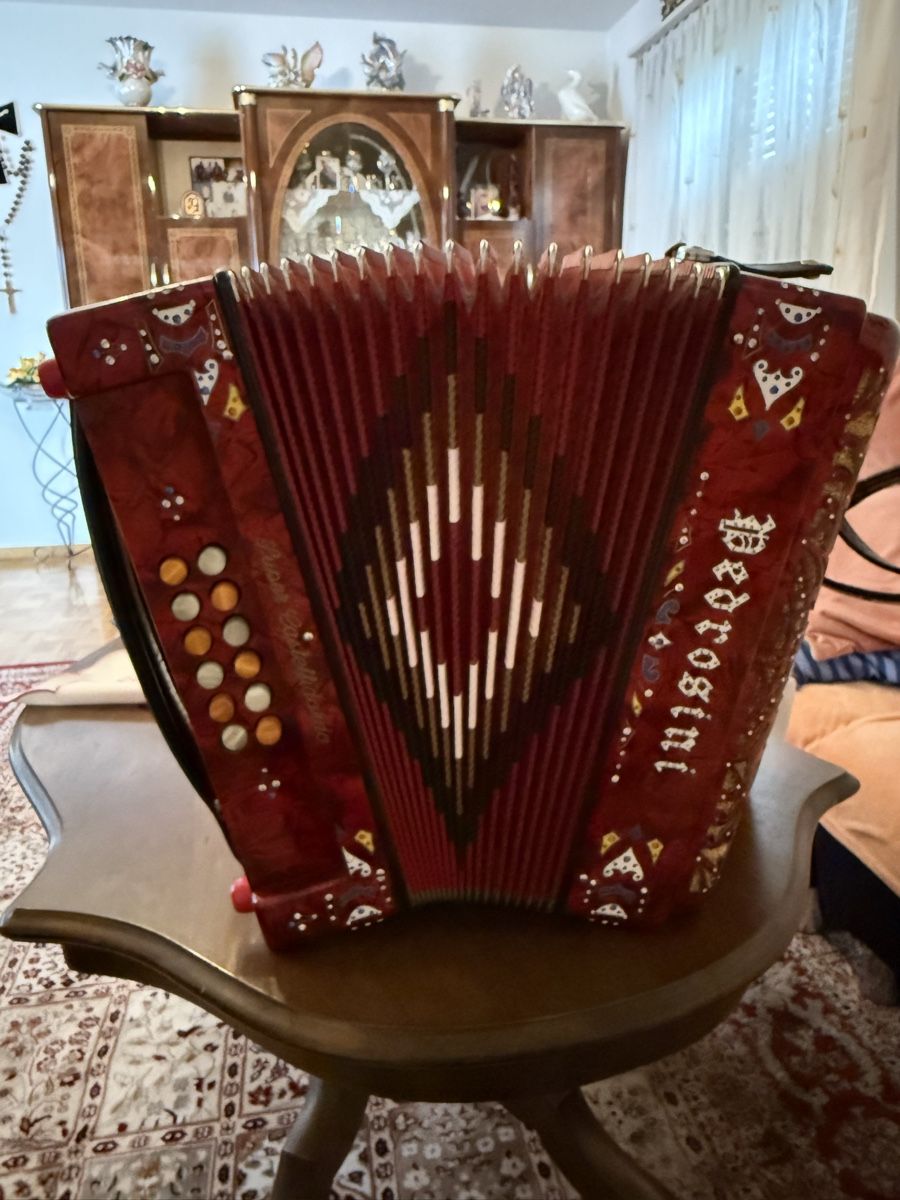 Strumenti musicali: Pedrosini Super Castelfidardo, Örgeli mit Koffer – Usato da Altendorf venduto da ally27
